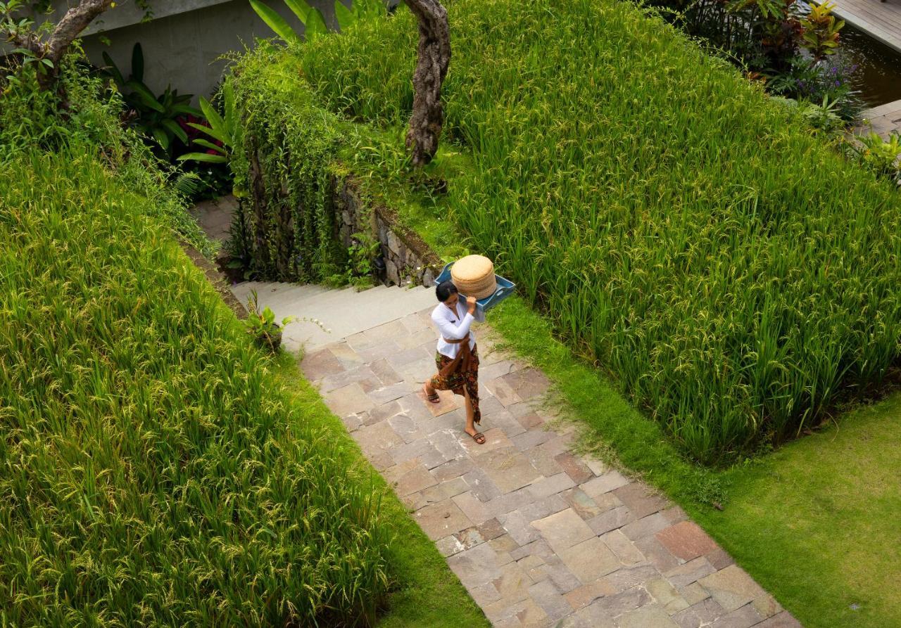 فندق Adiwana Suweta أوبود المظهر الخارجي الصورة A farmer in Bali