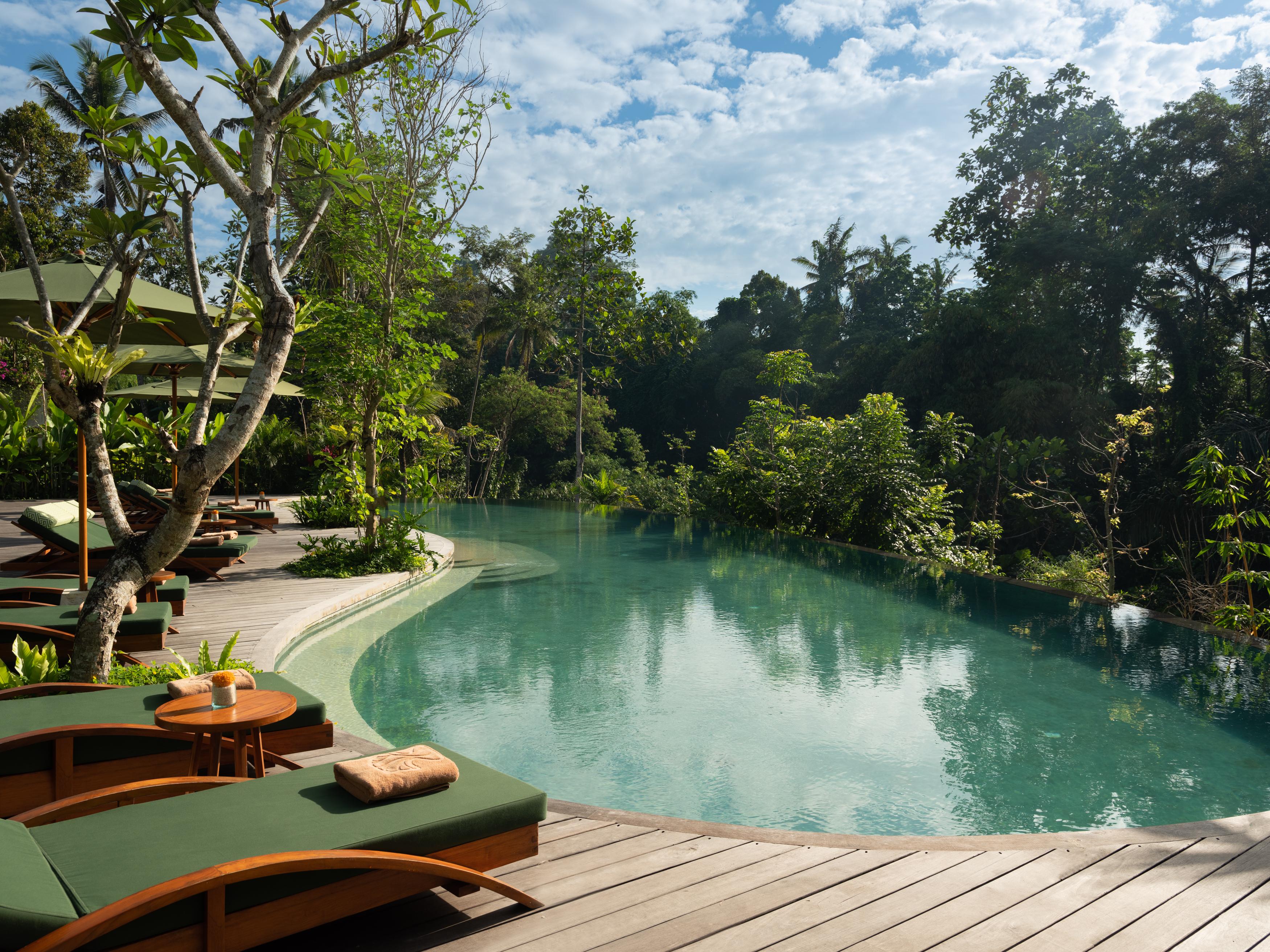 فندق Adiwana Suweta أوبود المظهر الخارجي الصورة The pool at the Four Seasons Resort